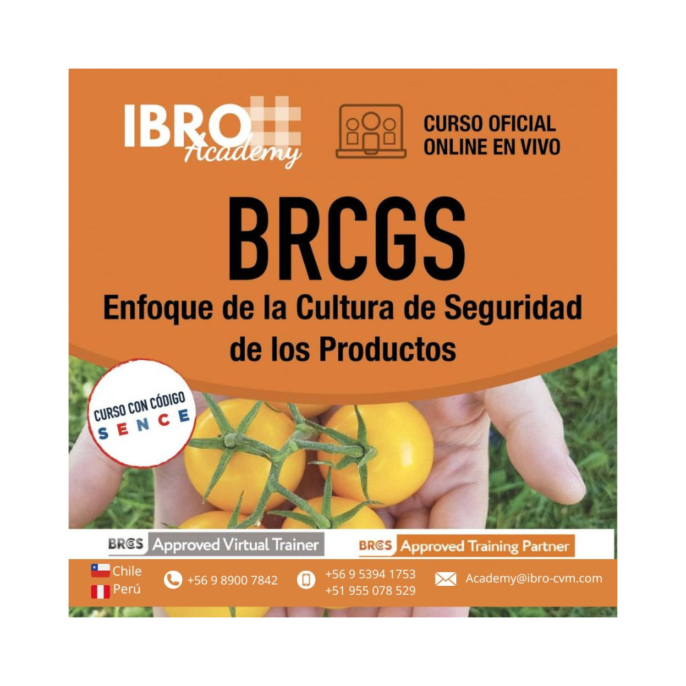 copy of Curso online | Programa de mejora de cultura de calidad e inocuidad alimentaria